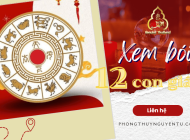 Xem bói 12 con giáp hàng ngày chính xác tại Phong Thủy Nguyễn Tú