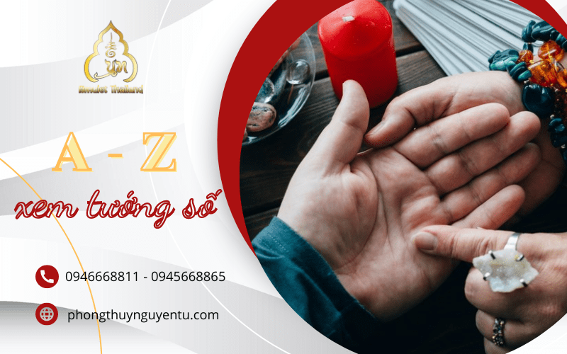xem tướng số