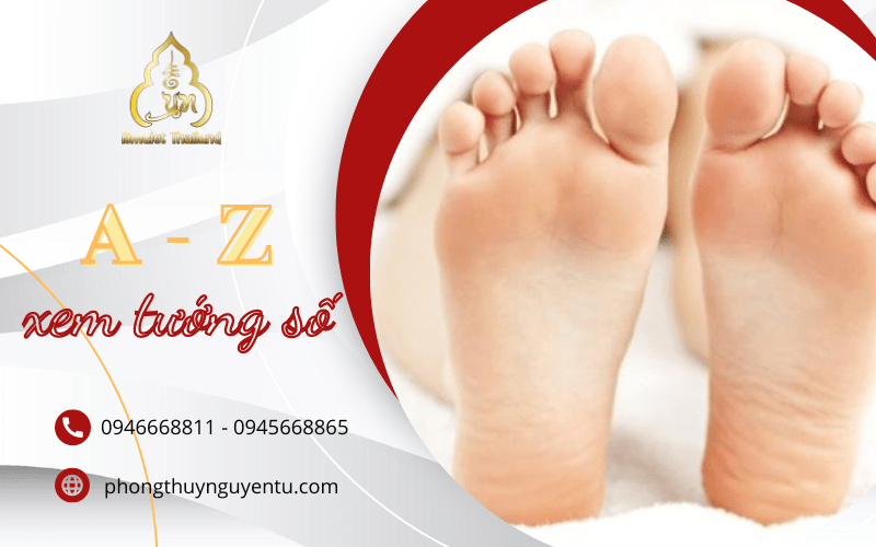 xem tướng số