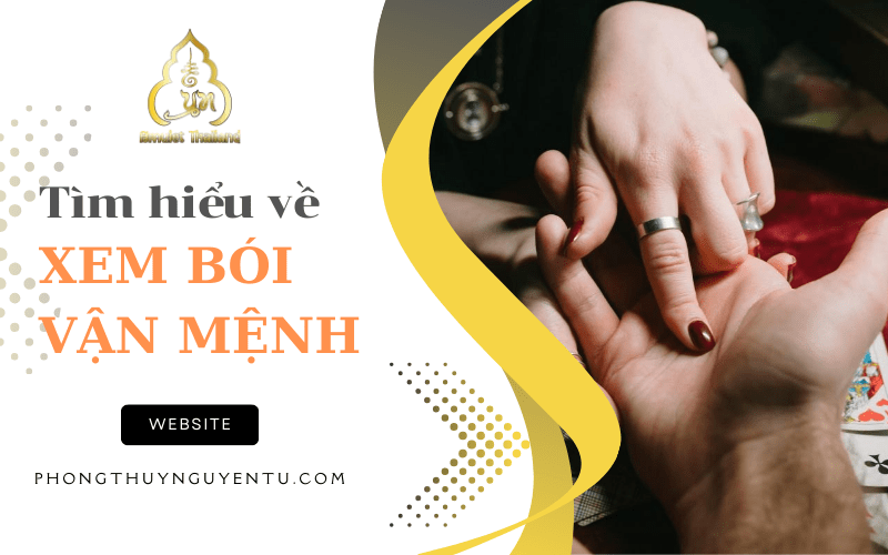 xem bói vận mệnh