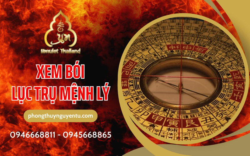 xem bói lục trụ mệnh lý