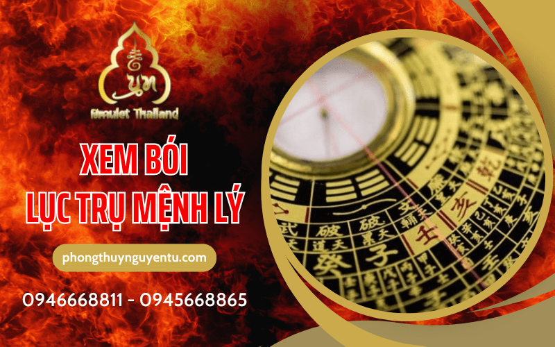 xem bói lục trụ mệnh lý